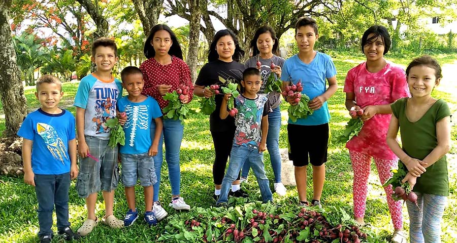 A cheerful group of children holding vegetables, surrounded by green grass on a sunny day.