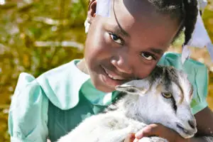 A Goat for a Family