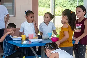 Donate Breakfast Every Weekday for a School Year