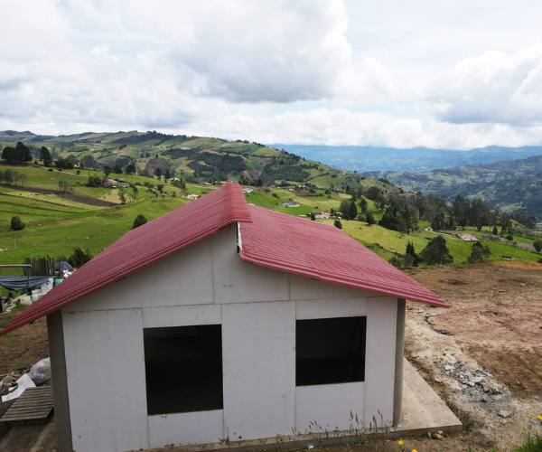6 Environmental Sustainability Practices for Charities
