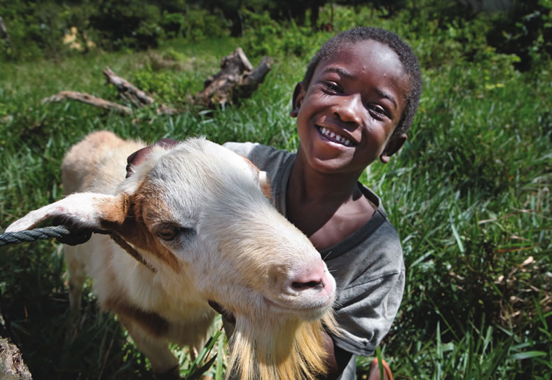 36 gifts that will renew spirits, change lives