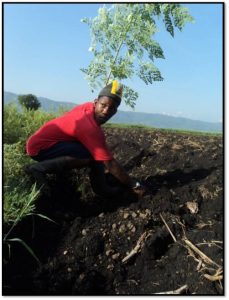 planting-2